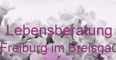 Lebensberatung Freiburg im Breisgau | Top-Experten für Kartenlegen, Wahrsagen, Hellsehen, Zukunftsdeutung.